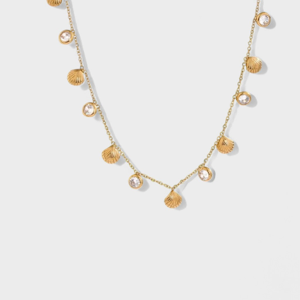 Muschelkette